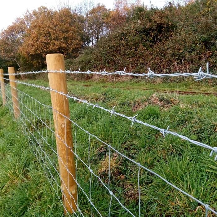 250 m fil de fer barbelé galvanisé, 1,6 / 1,7 mm pour clôture de protection  contre la faune sauvage, clôture forestière, grillage noué