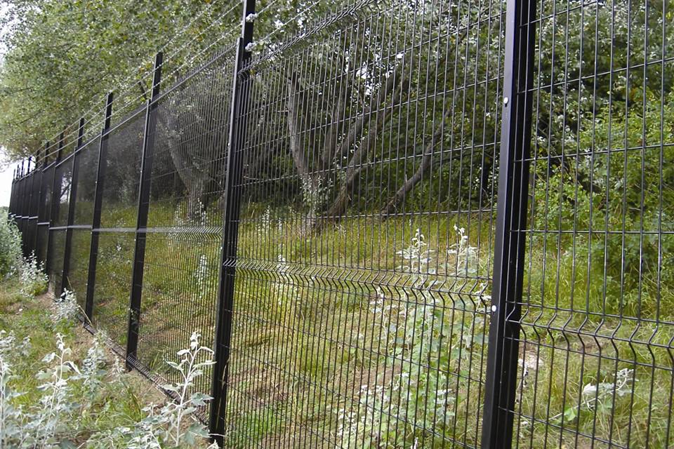 Many fruit trees are planted in the yard enclosed by curvy welded fence